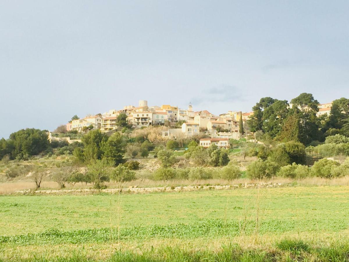 Maison d'hôtes Velaux Ecureuil et Pinède Extérieur photo